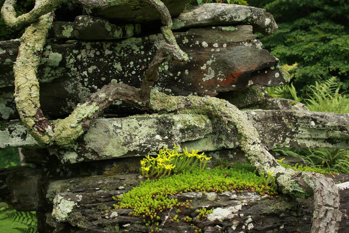 When stone and wood one FineGardening