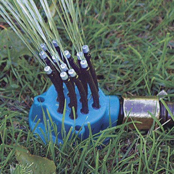 A Gardener's Midsummer Checklist FineGardening