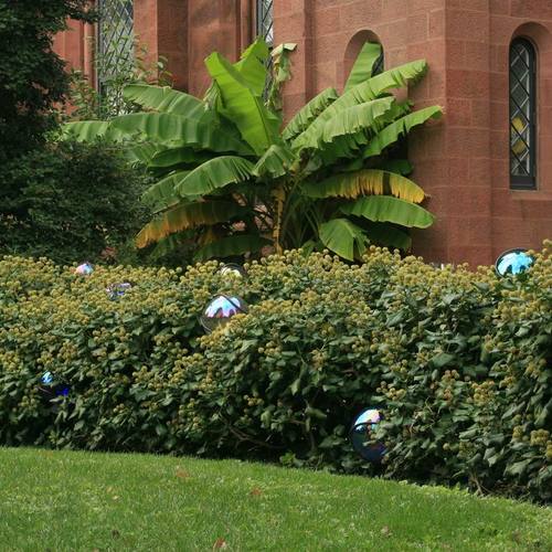 Gazing balls have a place in gardens... - FineGardening