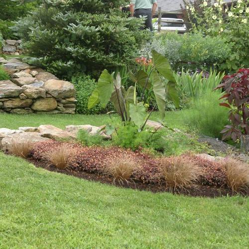 A bookmatched set Fine Gardening