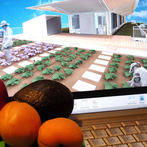 Computer-controlled Cauliflower? When Software Meets Spinach - Fine ...
