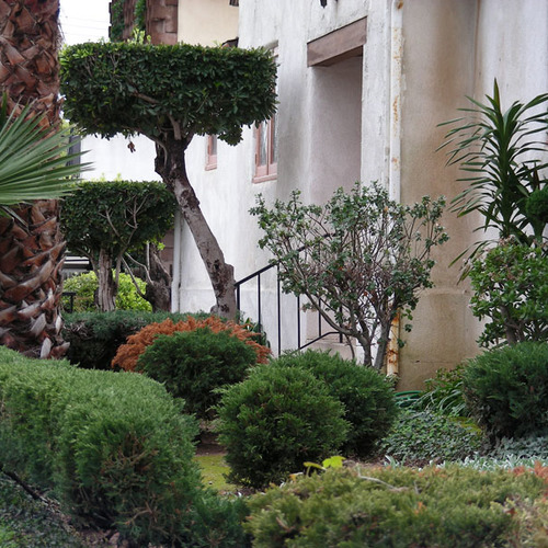 Why Not Replace Your Plants With Styrofoam? Fine Gardening