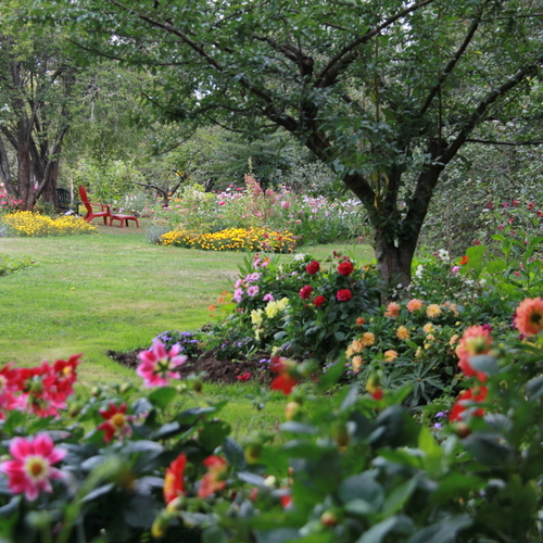 How to Create A Dream Garden