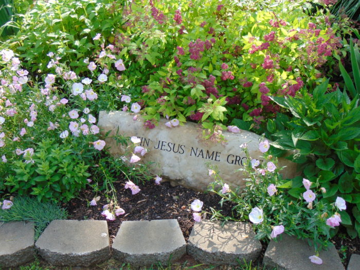 The Results of Improving Clay Soil