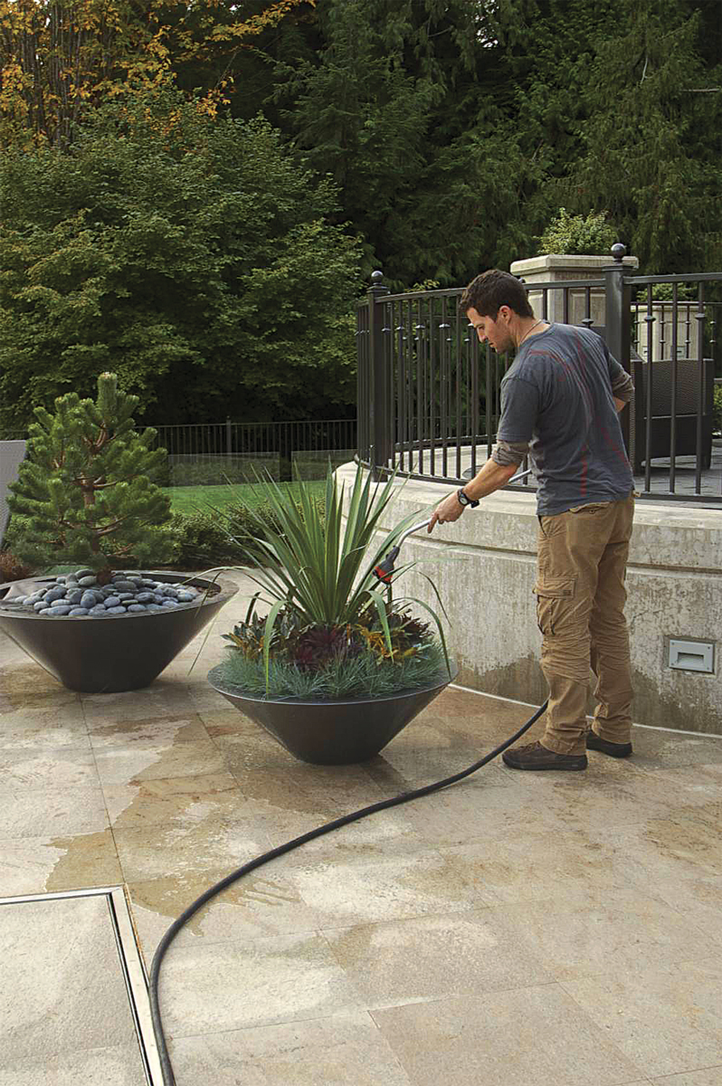 How to Design and Plant a Container Successfully