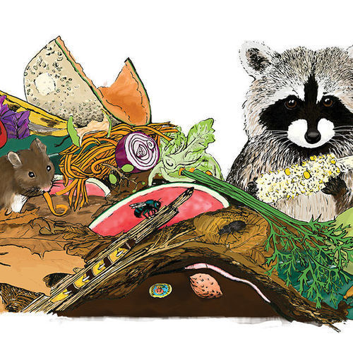 Critters in Your Compost? FineGardening