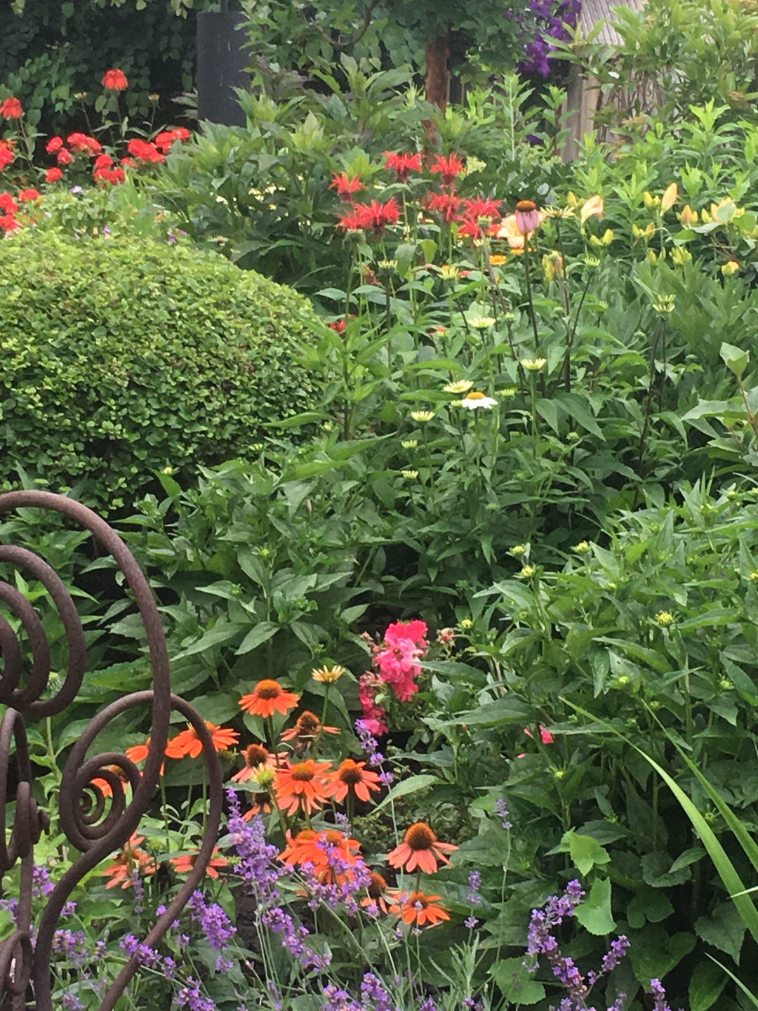 Envisioning a Dream Garden FineGardening