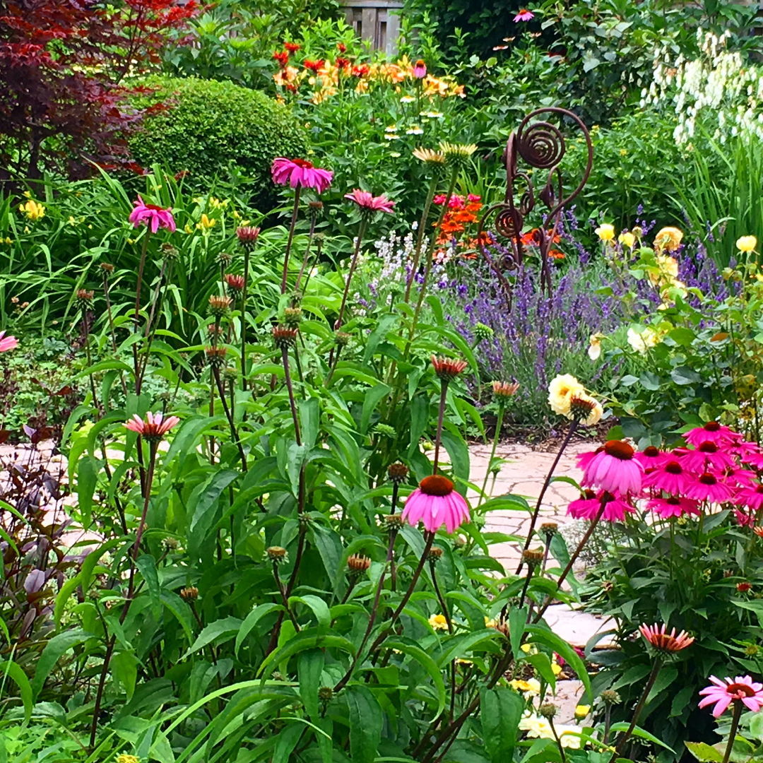 Envisioning a Dream Garden FineGardening