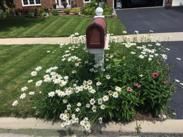 Choosing Plants for Color All Year FineGardening