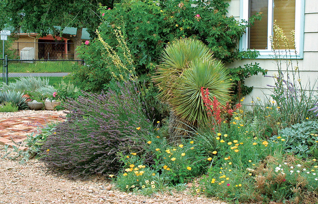 A Fresh Approach to Foundation Plantings Fine Gardening