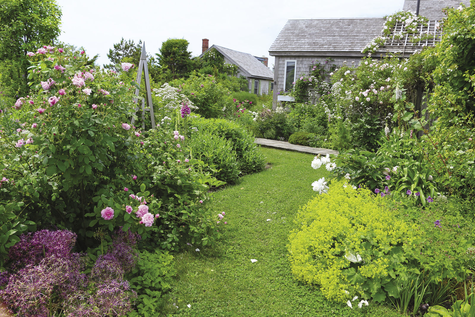 grass pathways give a visual break from the explosion of plants.