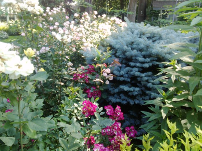 Lessons Learned in a Gardening Life - FineGardening