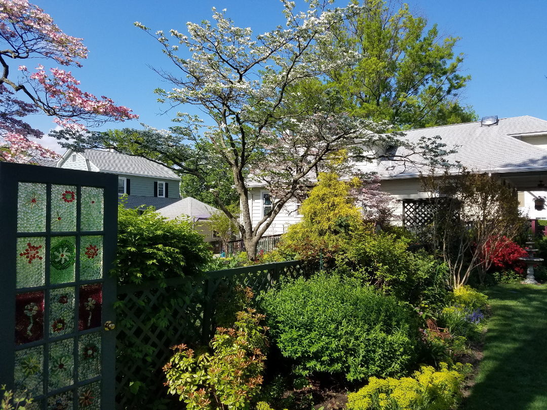 Favorite Plants in a New Jersey Garden FineGardening