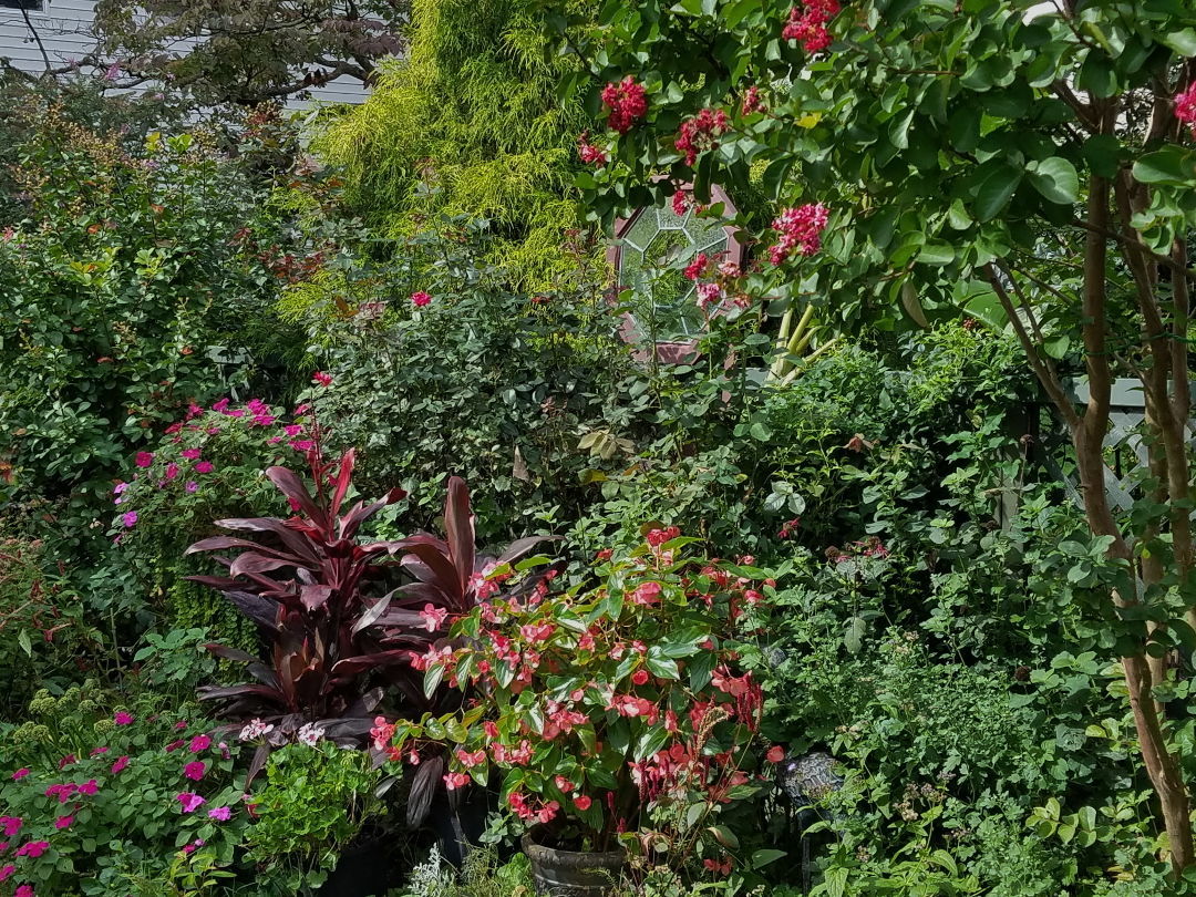 Favorite Plants in a New Jersey Garden FineGardening