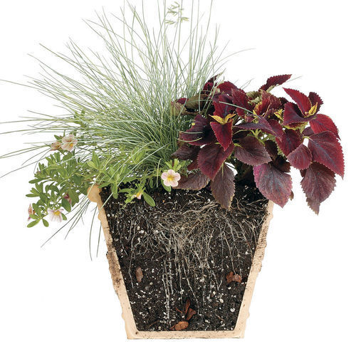 Understand Plant Survival Needs Soil Basics Fine Gardening