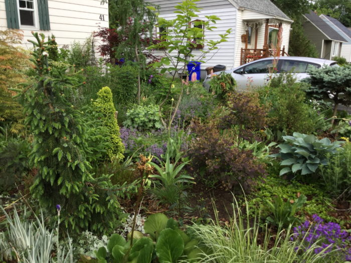 A Garden Centered on Trees and Shrubs - FineGardening