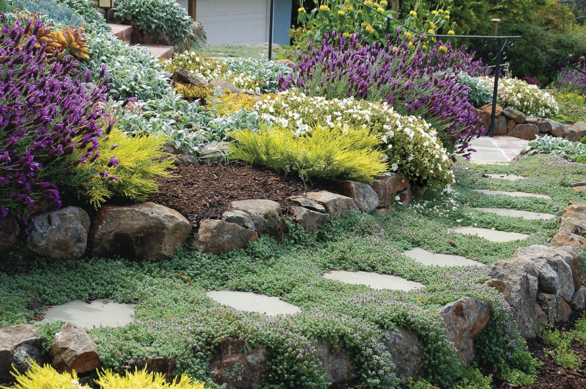 Pull a Design Together with Ground Covers FineGardening