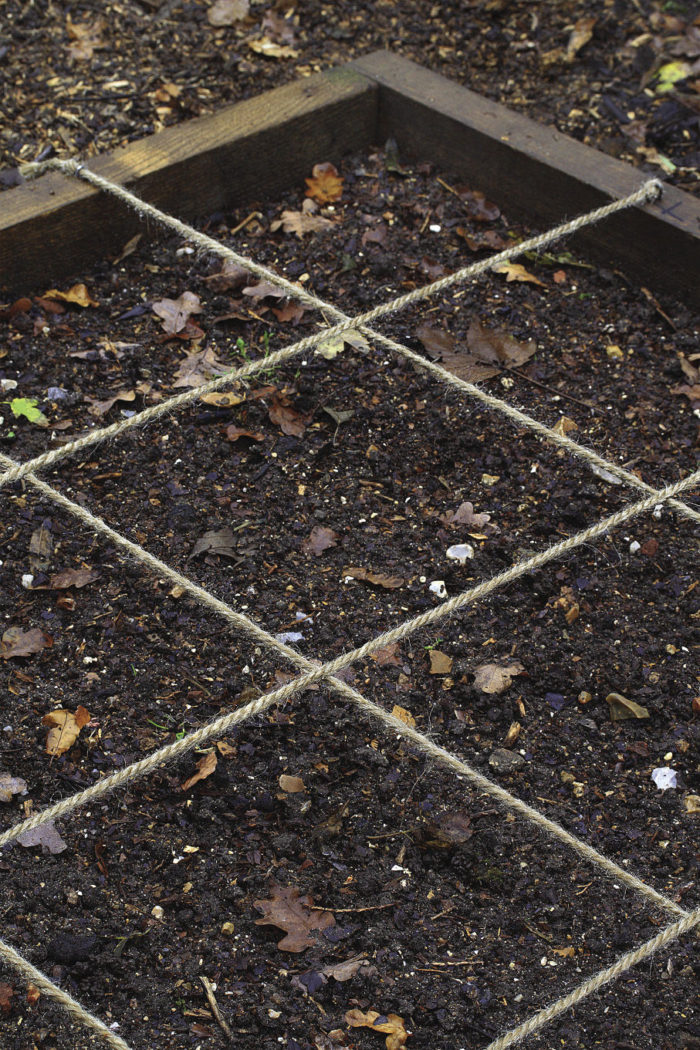 Is Square Foot Gardening a Good System? - FineGardening