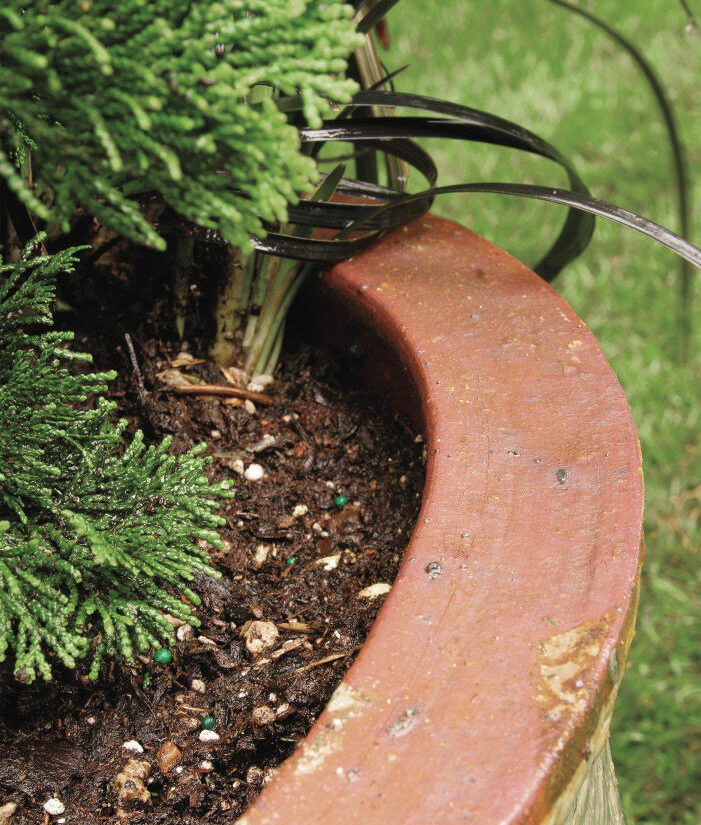 soil in a planted container
