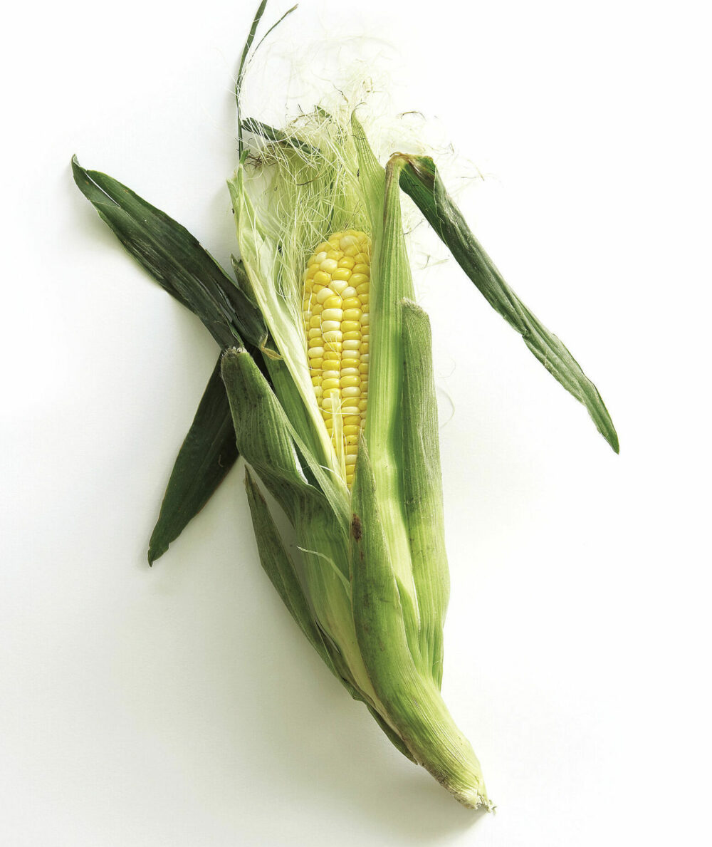 ear of corn