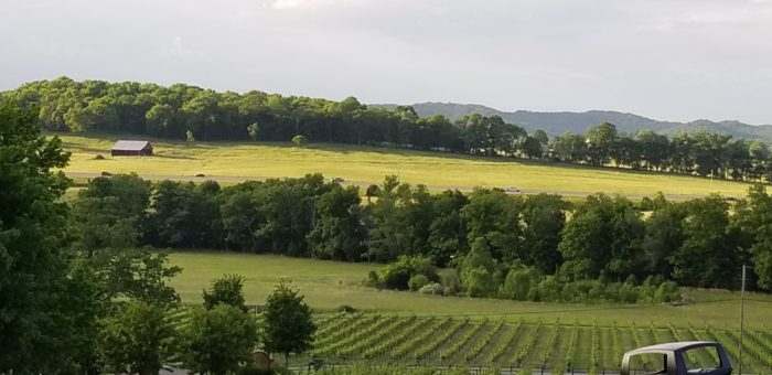 Gardening Highlights From Tennessee - FineGardening