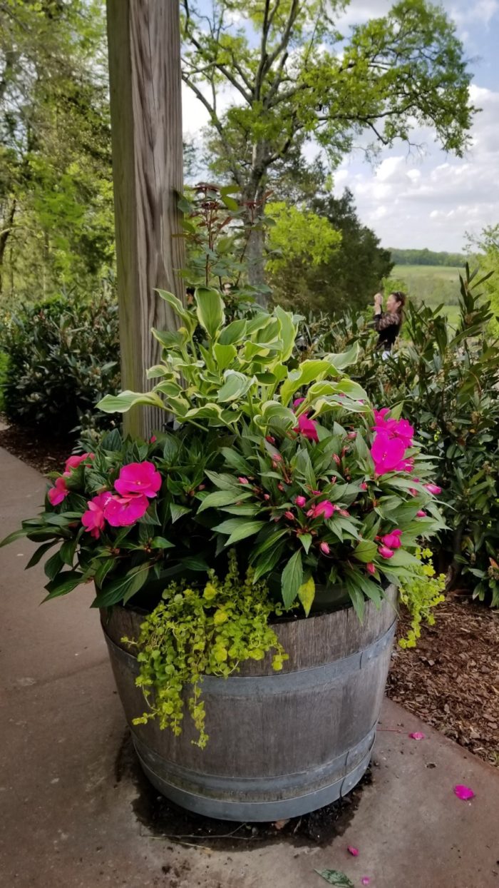 Gardening Highlights From Tennessee - FineGardening