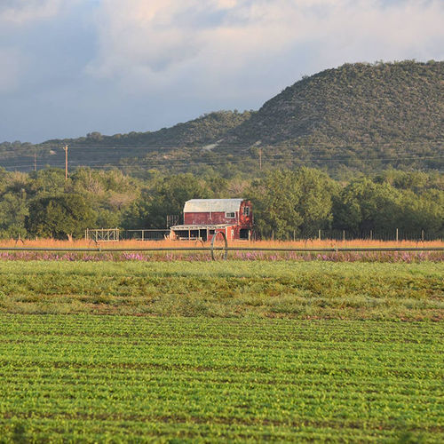 Field Trip Notes Native American Seed at the Neiman Family Farm in