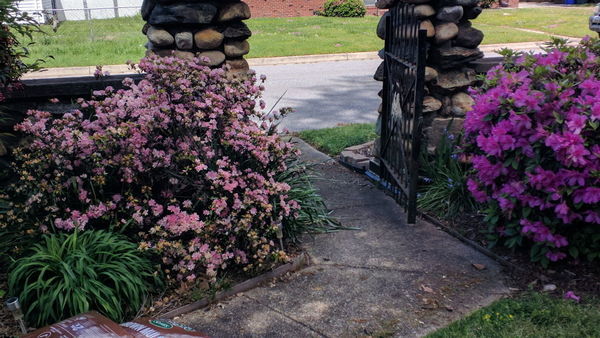 A Secret Garden In Italy Finegardening