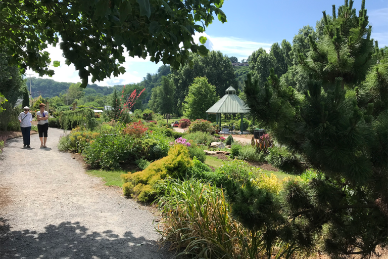 Finding Inspiration at Public Gardens | South Regional Report - FineGardening