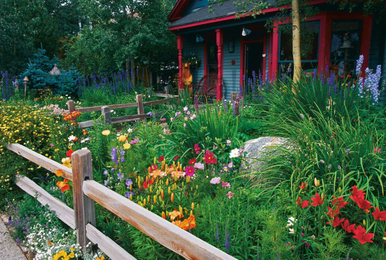 Defining the New American Cottage Garden FineGardening