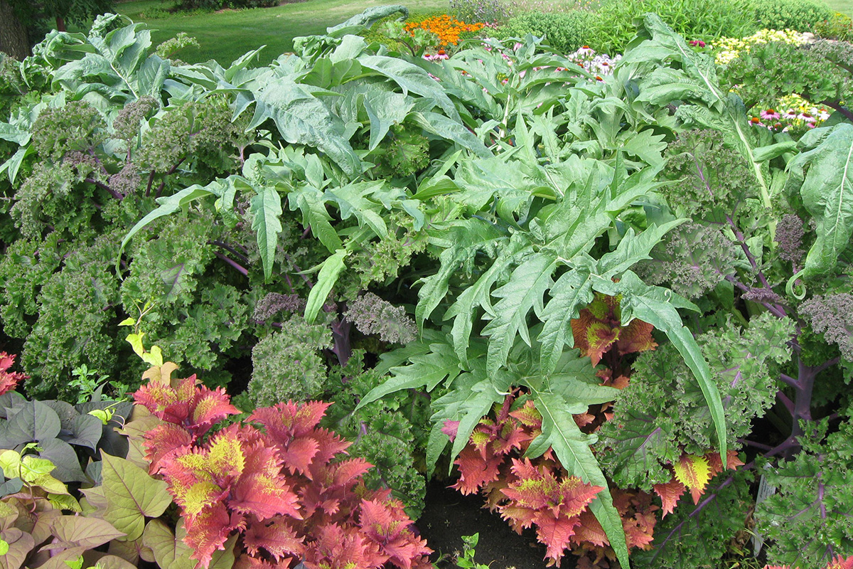 edibles and ornamentals