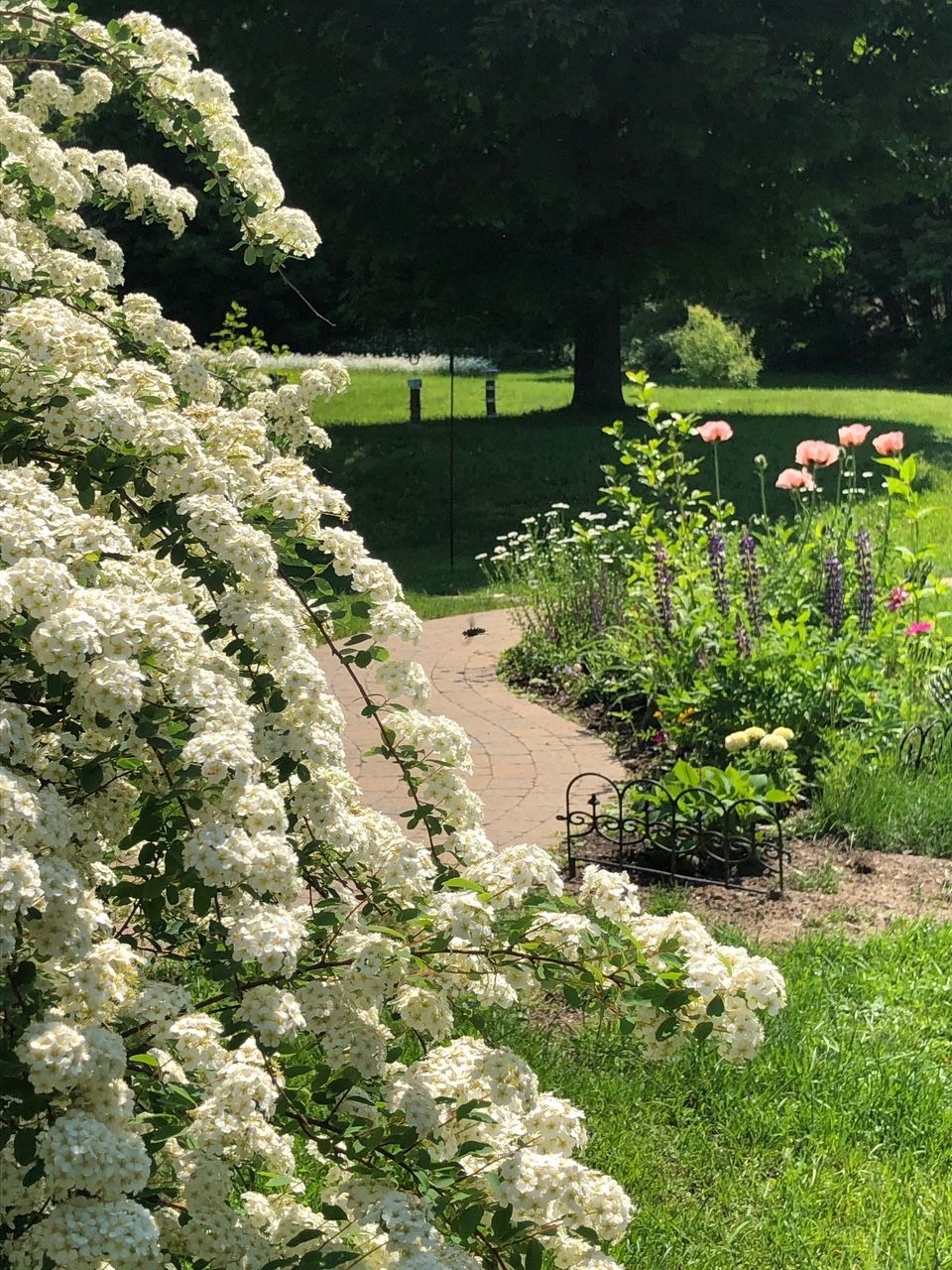 Worth The Wait Finegardening