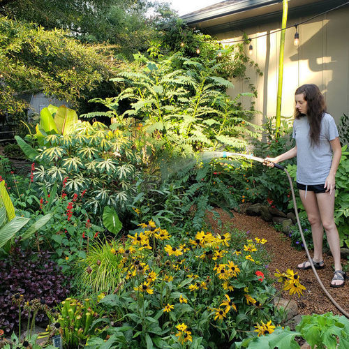 water-wise-tips-for-the-southeast-fine-gardening