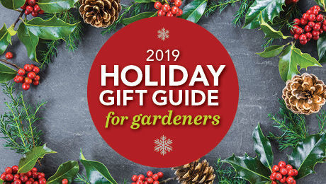 Dry Stream Does Double Duty - FineGardening