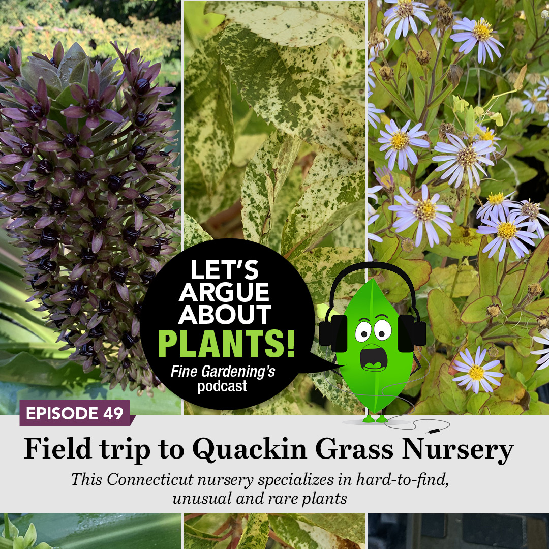 Episode 49 Visit to Quackin’ Grass Nursery Fine Gardening