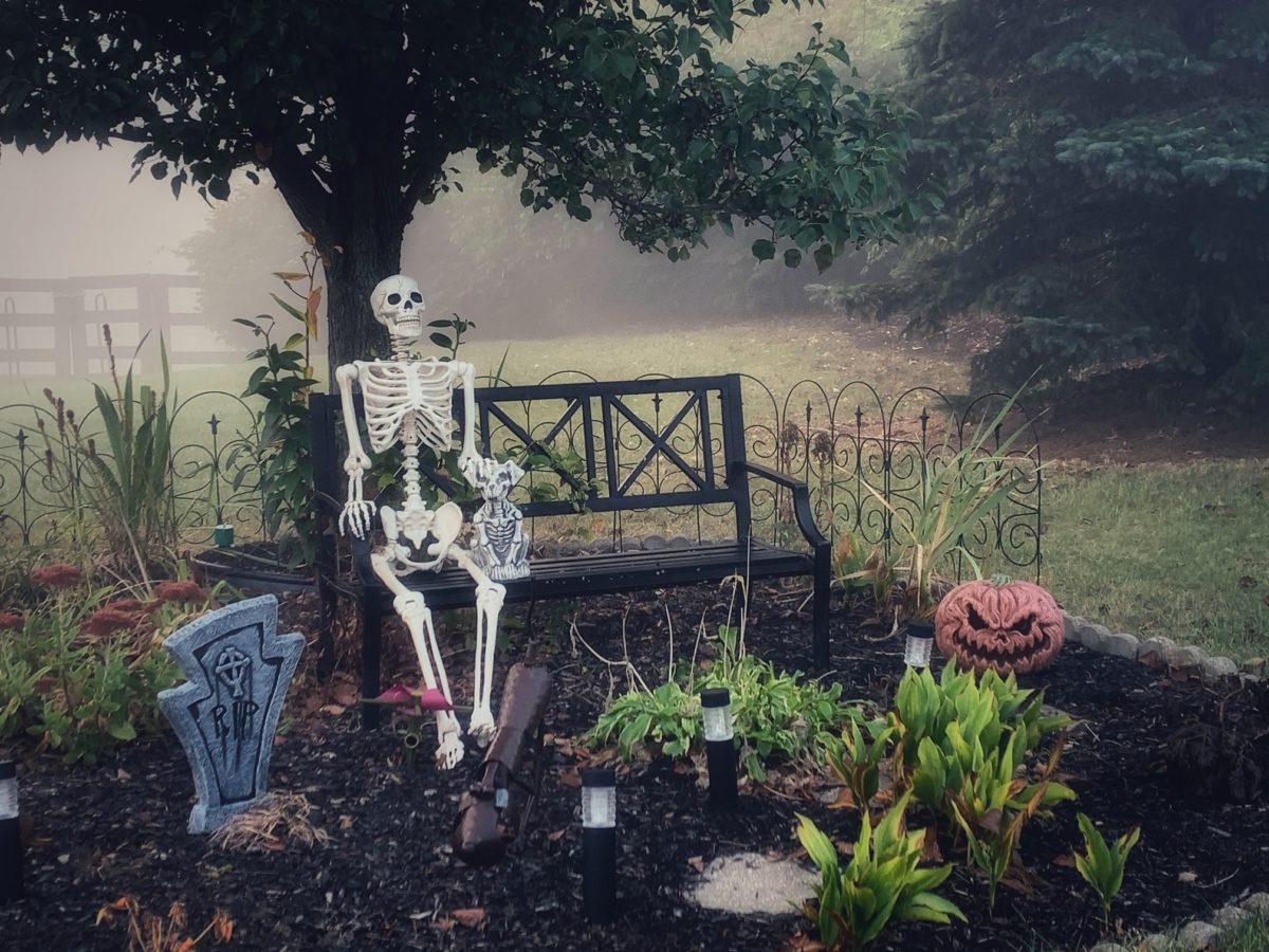 A Perfectly Spooky Garden Fine Gardening