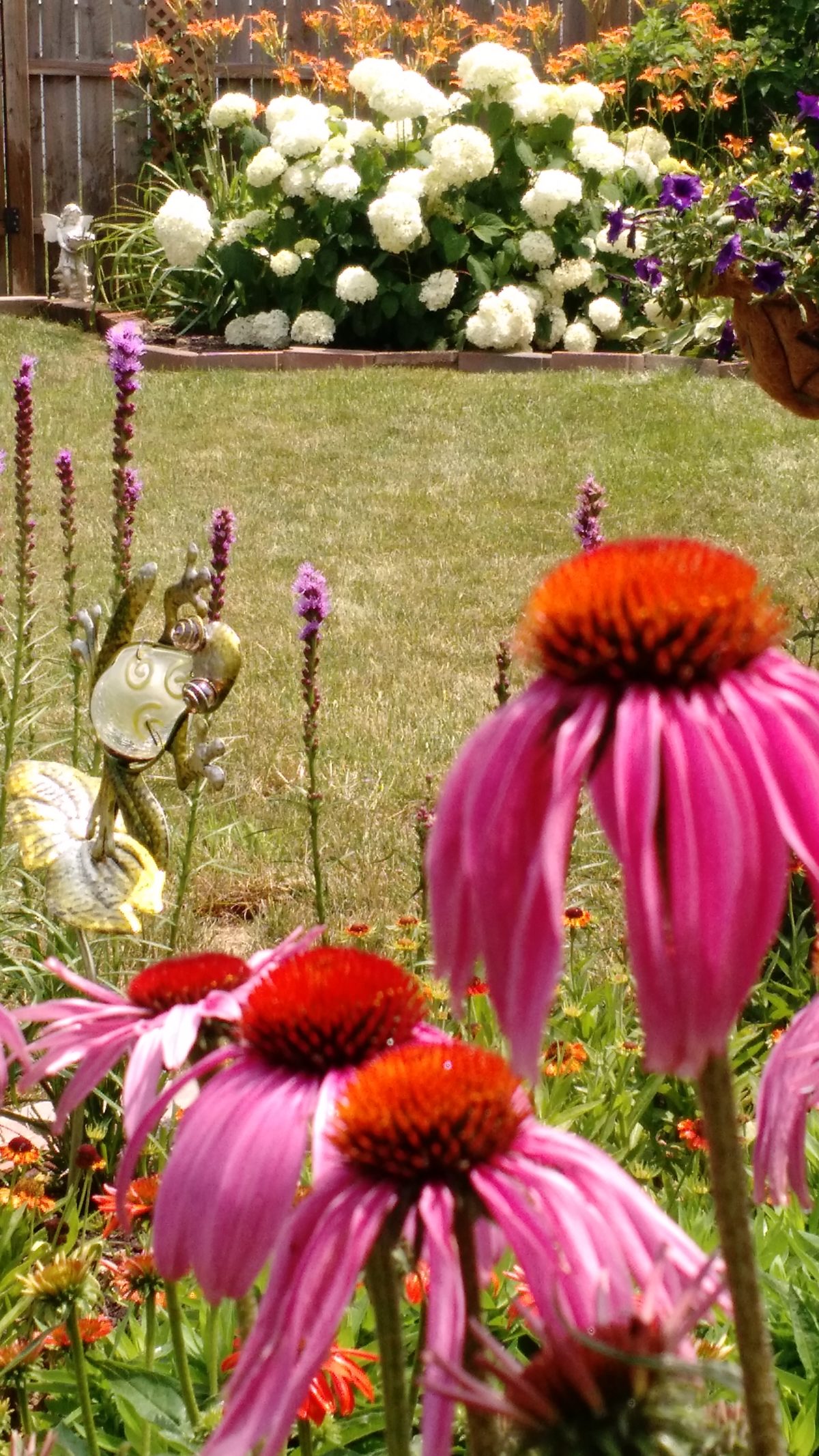 Starting All Over in the Garden FineGardening