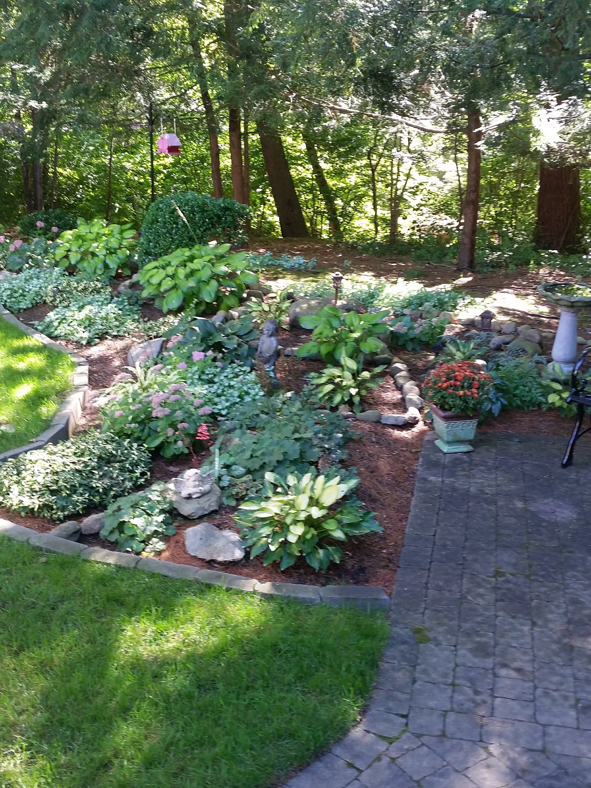 Finding a Garden in a Difficult Time - FineGardening