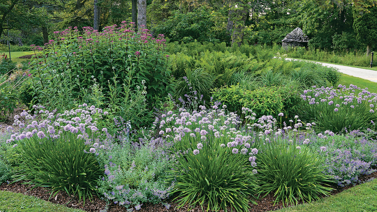 Answers to Common Mass Planting Questions Fine Gardening