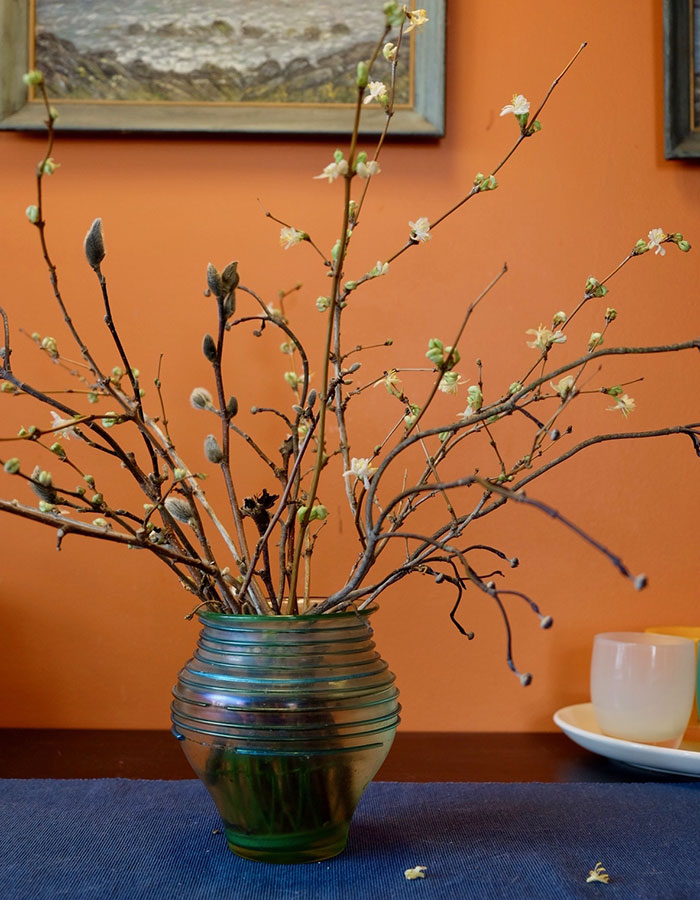 Forcing stems