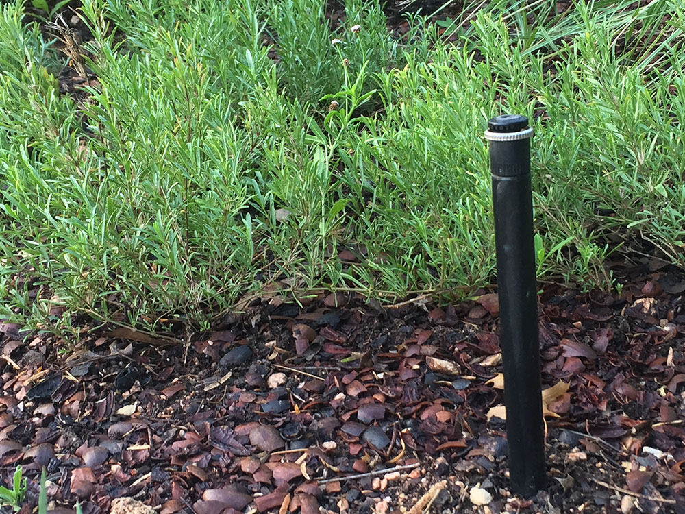 garden irrigation system
