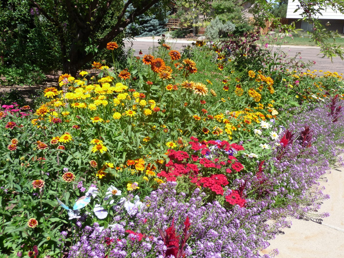A Wyoming Garden Fine Gardening