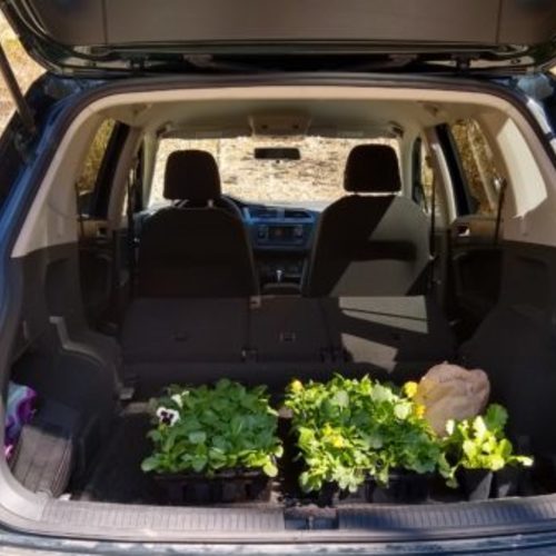 Curbside Nursery Pickup Experience Fine Gardening