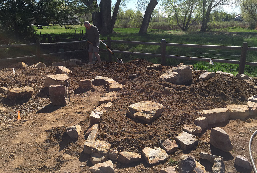 building a rock garden