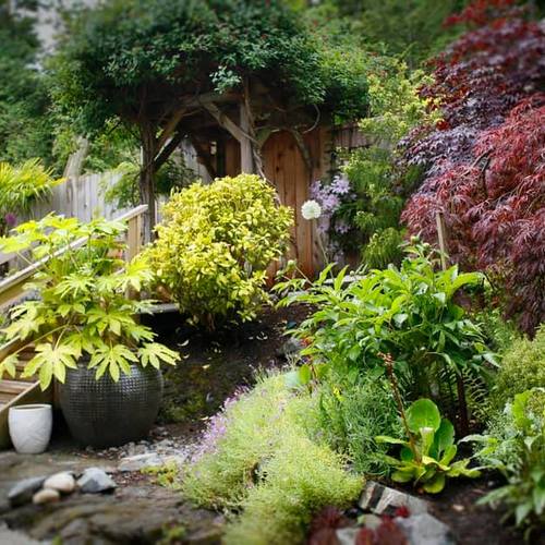 Renovating an Island Garden Fine Gardening