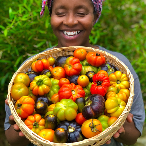 Eva's Vegetable Garden Beauty - Fine Gardening