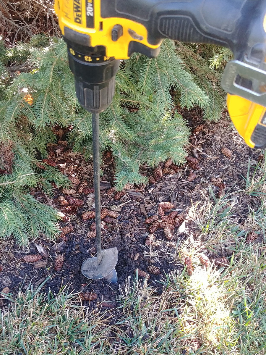 tulip auger