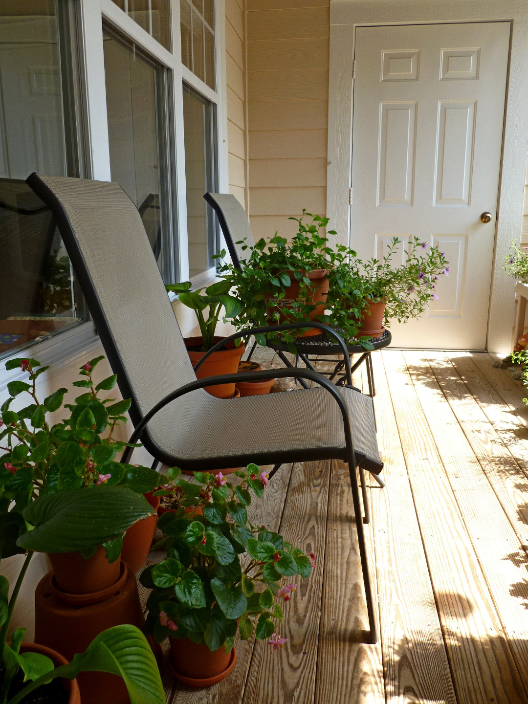 Gardening on a Balcony - FineGardening