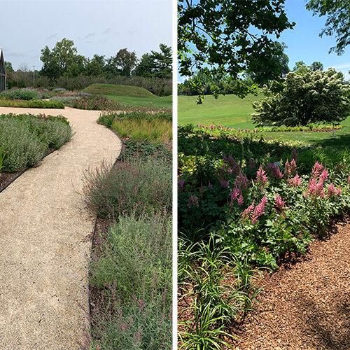 Piet Oudolf FineGardening