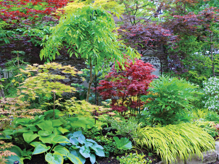 How to Design a Colorful Shade Garden FineGardening